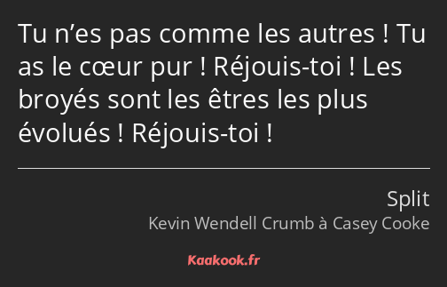 Tu n’es pas comme les autres ! Tu as le cœur pur ! Réjouis-toi ! Les broyés sont les êtres les plus…