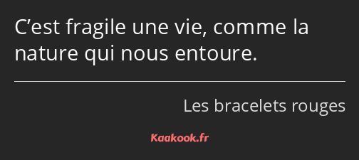 C’est fragile une vie, comme la nature qui nous entoure.