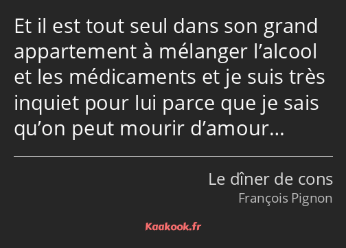 Et il est tout seul dans son grand appartement à mélanger l’alcool et les médicaments et je suis…