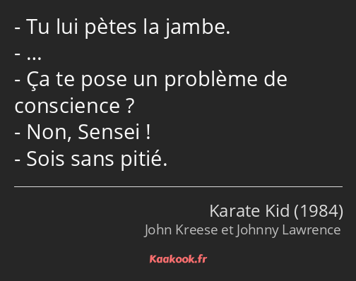 Tu lui pètes la jambe. … Ça te pose un problème de conscience ? Non, Sensei ! Sois sans pitié.