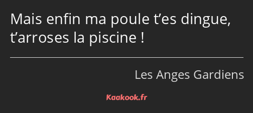 Mais enfin ma poule t’es dingue, t’arroses la piscine !