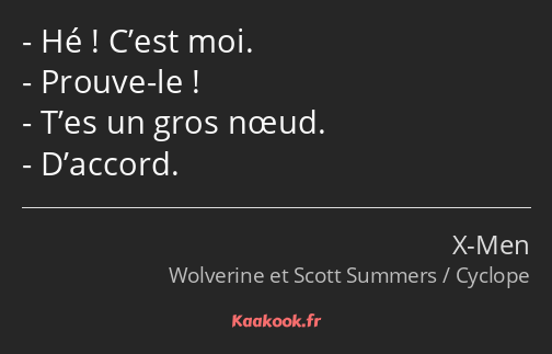 Hé ! C’est moi. Prouve-le ! T’es un gros nœud. D’accord.