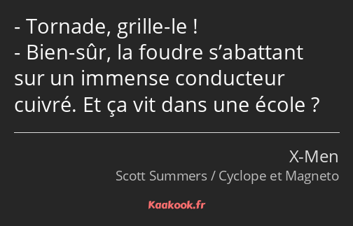 Tornade, grille-le ! Bien-sûr, la foudre s’abattant sur un immense conducteur cuivré. Et ça vit…