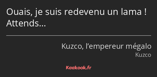 Ouais, je suis redevenu un lama ! Attends…