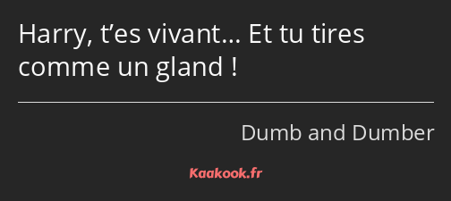 Harry, t’es vivant… Et tu tires comme un gland !