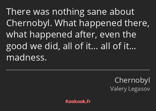 There was nothing sane about Chernobyl. What happened there, what happened after, even the good we…