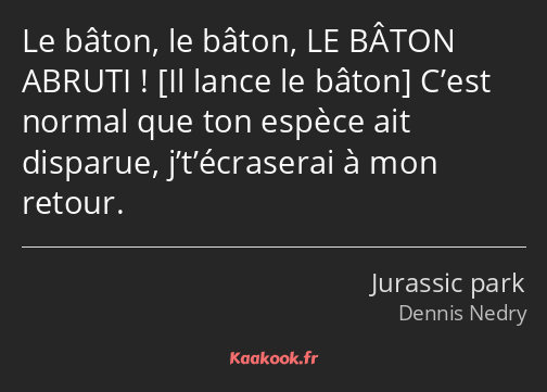 Le bâton, le bâton, LE BÂTON ABRUTI ! C’est normal que ton espèce ait disparue, j’t’écraserai à mon…
