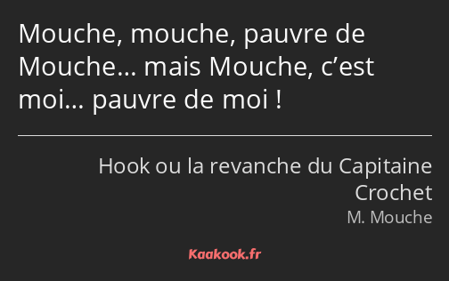 Mouche, mouche, pauvre de Mouche… mais Mouche, c’est moi… pauvre de moi !