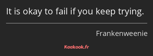 It is okay to fail if you keep trying.
