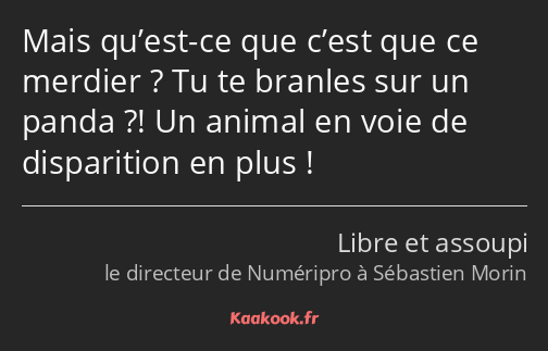 Mais qu’est-ce que c’est que ce merdier ? Tu te branles sur un panda ?! Un animal en voie de…