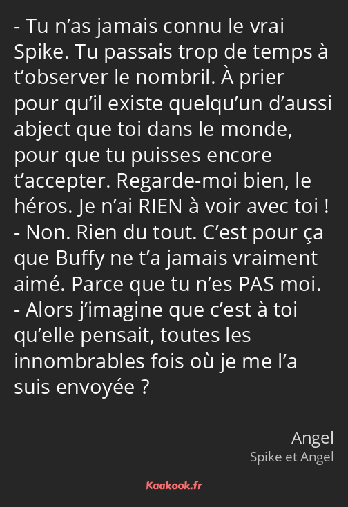 Tu n’as jamais connu le vrai Spike. Tu passais trop de temps à t’observer le nombril. À prier pour…