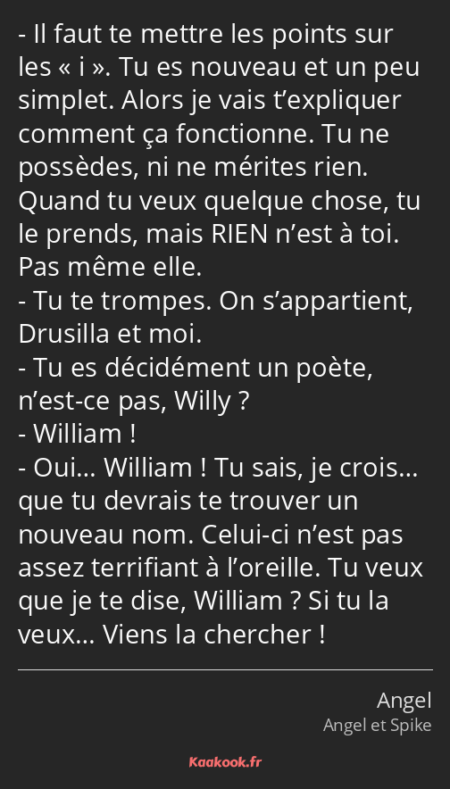 Il faut te mettre les points sur les i. Tu es nouveau et un peu simplet. Alors je vais t’expliquer…