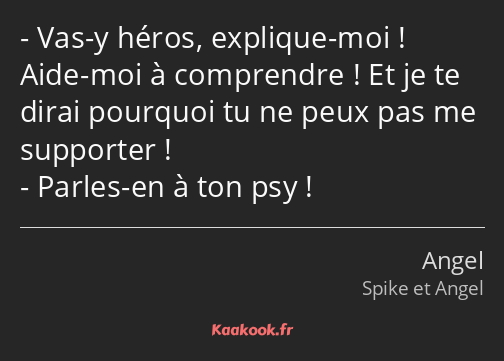 Vas-y héros, explique-moi ! Aide-moi à comprendre ! Et je te dirai pourquoi tu ne peux pas me…