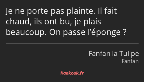 Je ne porte pas plainte. Il fait chaud, ils ont bu, je plais beaucoup. On passe l’éponge ?