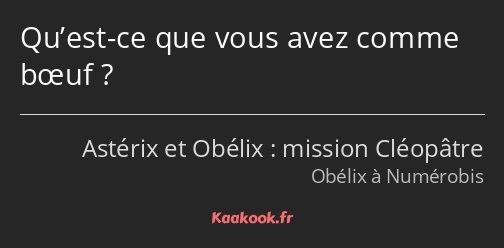 Qu’est-ce que vous avez comme bœuf ?