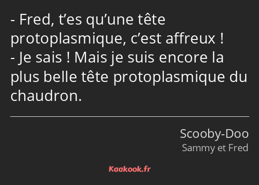 Fred, t’es qu’une tête protoplasmique, c’est affreux ! Je sais ! Mais je suis encore la plus belle…