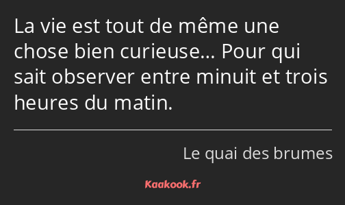 La vie est tout de même une chose bien curieuse… Pour qui sait observer entre minuit et trois…