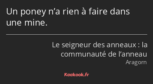 Un poney n’a rien à faire dans une mine.