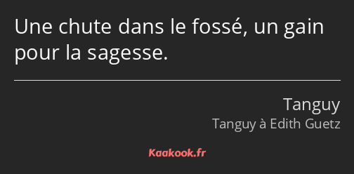 Une chute dans le fossé, un gain pour la sagesse.