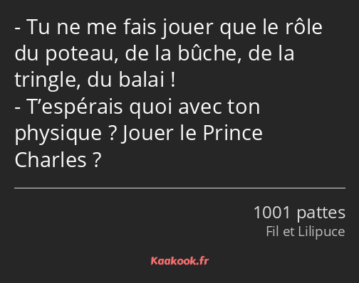 Tu ne me fais jouer que le rôle du poteau, de la bûche, de la tringle, du balai ! T’espérais quoi…