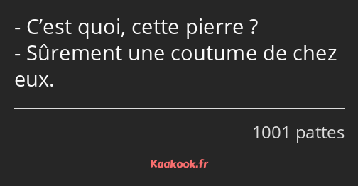 C’est quoi, cette pierre ? Sûrement une coutume de chez eux.