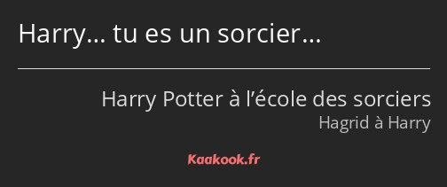 Harry… tu es un sorcier…