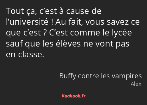 Tout ça, c’est à cause de l’université ! Au fait, vous savez ce que c’est ? C’est comme le lycée…