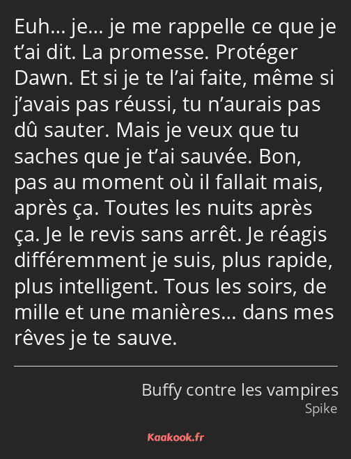 Euh… je… je me rappelle ce que je t’ai dit. La promesse. Protéger Dawn. Et si je te l’ai faite…