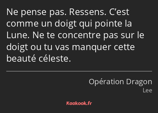 Ne pense pas. Ressens. C’est comme un doigt qui pointe la Lune. Ne te concentre pas sur le doigt ou…