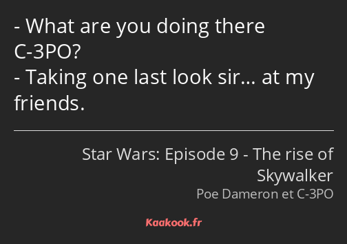 What are you doing there C-3PO? Taking one last look sir… at my friends.