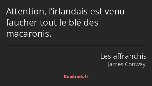 Attention, l’irlandais est venu faucher tout le blé des macaronis.