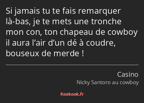 Si jamais tu te fais remarquer là-bas, je te mets une tronche mon con, ton chapeau de cowboy il…