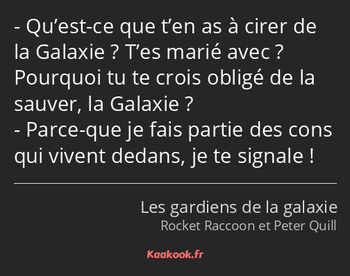 Qu’est-ce que t’en as à cirer de la Galaxie ? T’es marié avec ? Pourquoi tu te crois obligé de la…