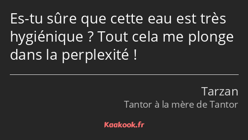 Es-tu sûre que cette eau est très hygiénique ? Tout cela me plonge dans la perplexité !