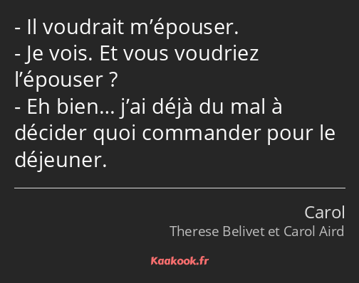 Il voudrait m’épouser. Je vois. Et vous voudriez l’épouser ? Eh bien… j’ai déjà du mal à décider…