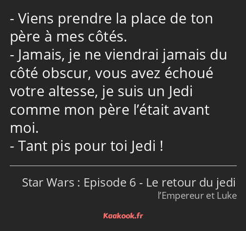 Viens prendre la place de ton père à mes côtés. Jamais, je ne viendrai jamais du côté obscur, vous…