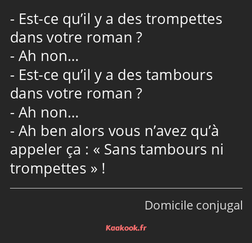 Est-ce qu’il y a des trompettes dans votre roman ? Ah non… Est-ce qu’il y a des tambours dans votre…