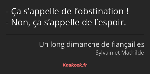 Ça s’appelle de l’obstination ! Non, ça s’appelle de l’espoir.