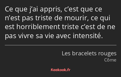 Ce que j’ai appris, c’est que ce n’est pas triste de mourir, ce qui est horriblement triste c’est…