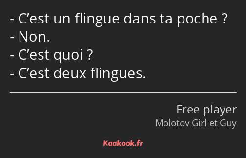 C’est un flingue dans ta poche ? Non. C’est quoi ? C’est deux flingues.