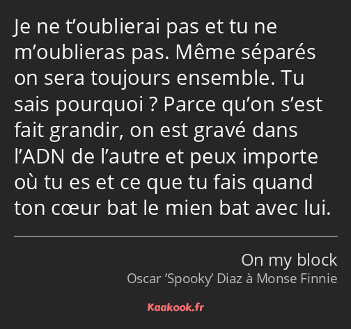 Je ne t’oublierai pas et tu ne m’oublieras pas. Même séparés on sera toujours ensemble. Tu sais…