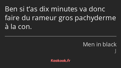 Ben si t’as dix minutes va donc faire du rameur gros pachyderme à la con.