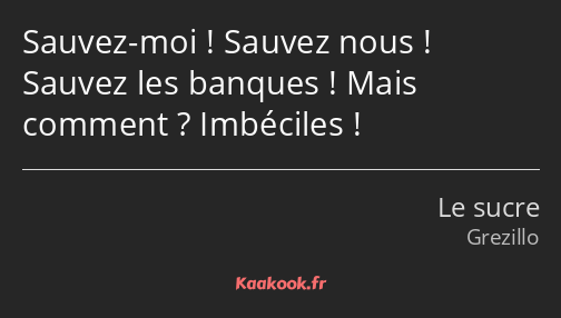 Sauvez-moi ! Sauvez nous ! Sauvez les banques ! Mais comment ? Imbéciles !