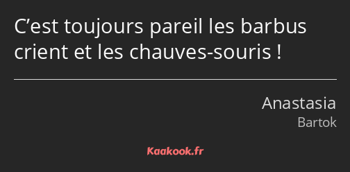 C’est toujours pareil les barbus crient et les chauves-souris !