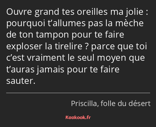 Ouvre grand tes oreilles ma jolie : pourquoi t’allumes pas la mèche de ton tampon pour te faire…