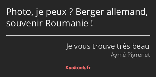 Photo, je peux ? Berger allemand, souvenir Roumanie !