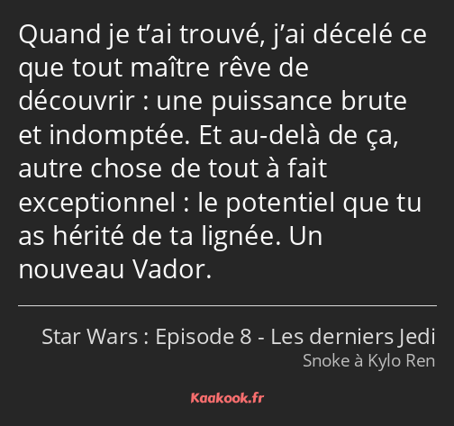 Quand je t’ai trouvé, j’ai décelé ce que tout maître rêve de découvrir : une puissance brute et…