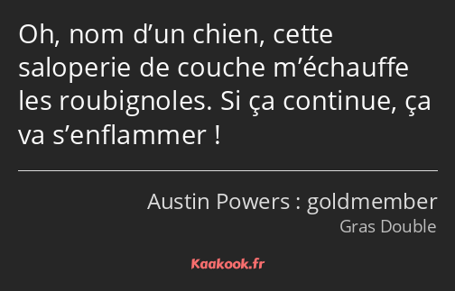 Oh, nom d’un chien, cette saloperie de couche m’échauffe les roubignoles. Si ça continue, ça va…