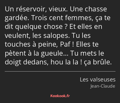 Un réservoir, vieux. Une chasse gardée. Trois cent femmes, ça te dit quelque chose ? Et elles en…