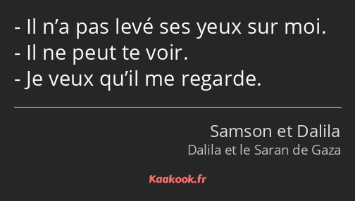 Il n’a pas levé ses yeux sur moi. Il ne peut te voir. Je veux qu’il me regarde.